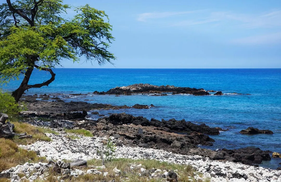 Mauna Kea Beach Hotel, Autograph Collection-1